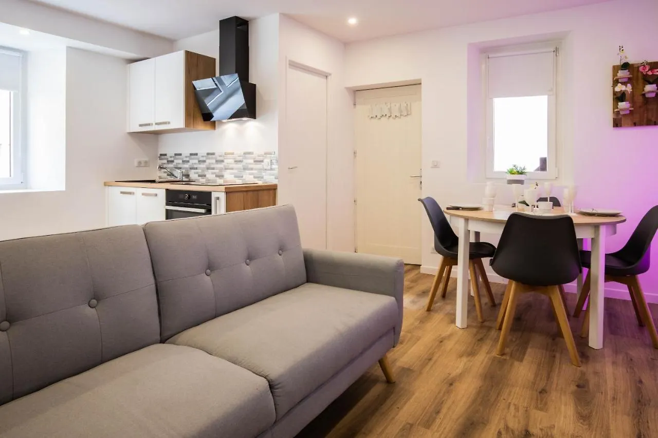 Cosmo Ideal Famille Rue Carnot Annecy Appartement